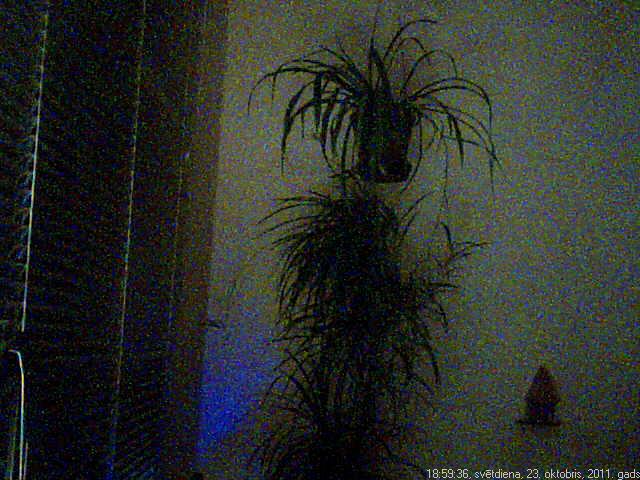 Webcam